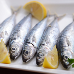 Sardinas enteras